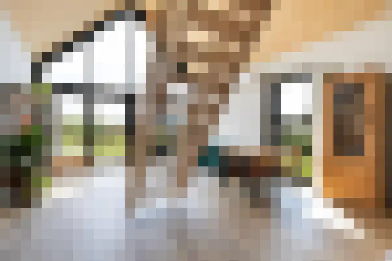 Zonnelaan 11 Almere thumbnail 14