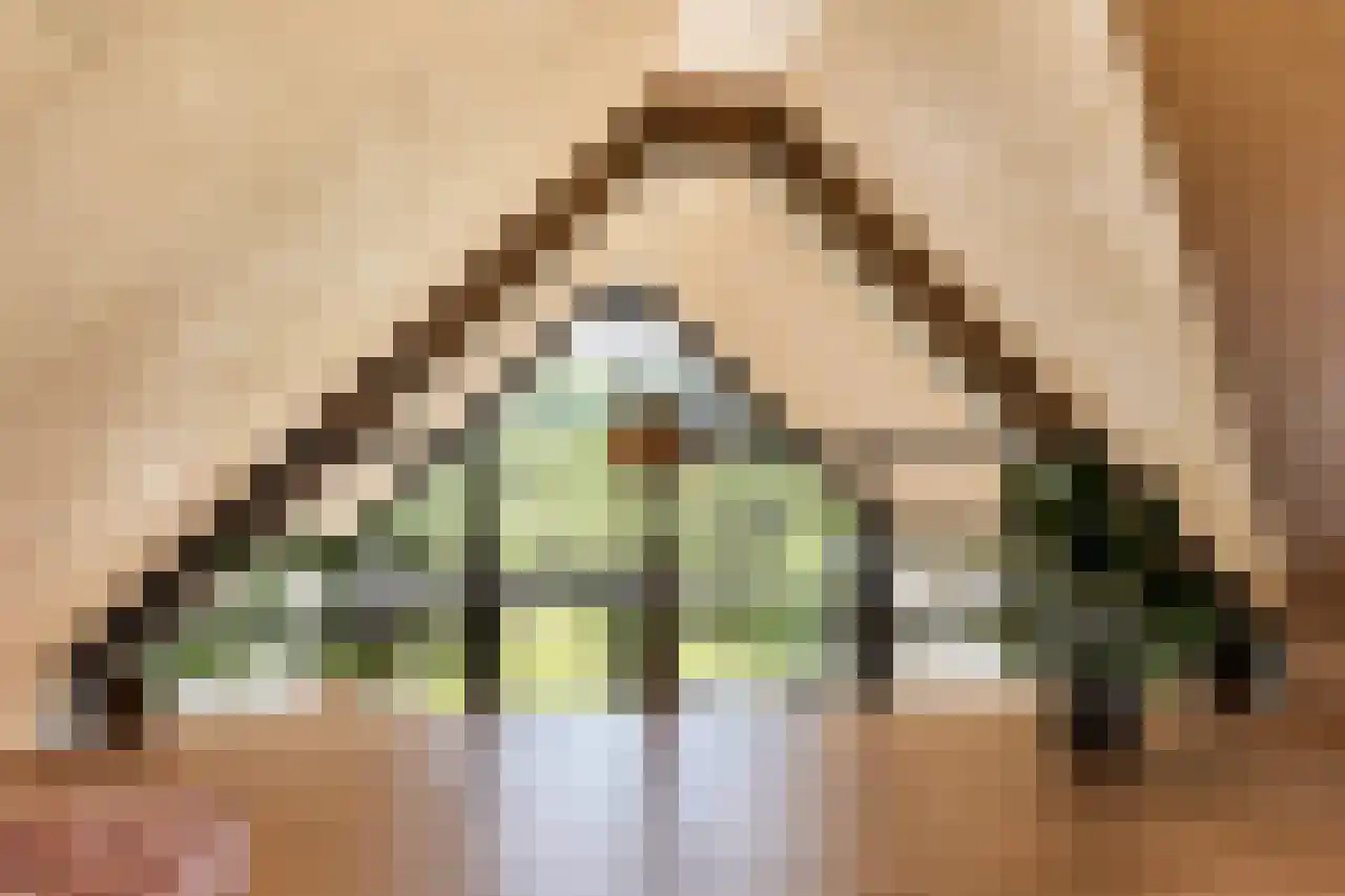 Zonnelaan 11 Almere thumbnail 15