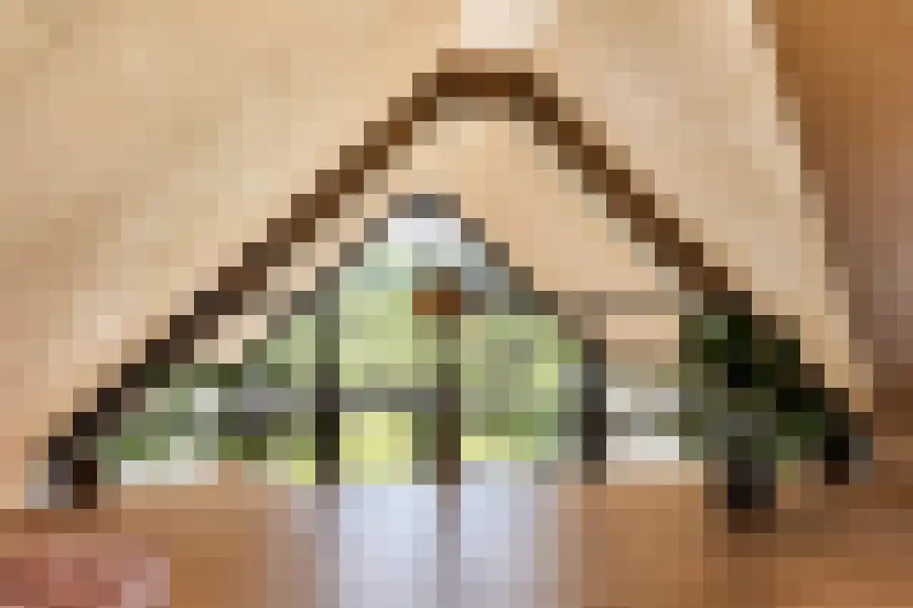 Zonnelaan 11 Almere thumbnail 15
