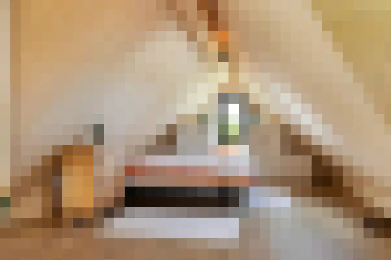 Zonnelaan 11 Almere thumbnail 17