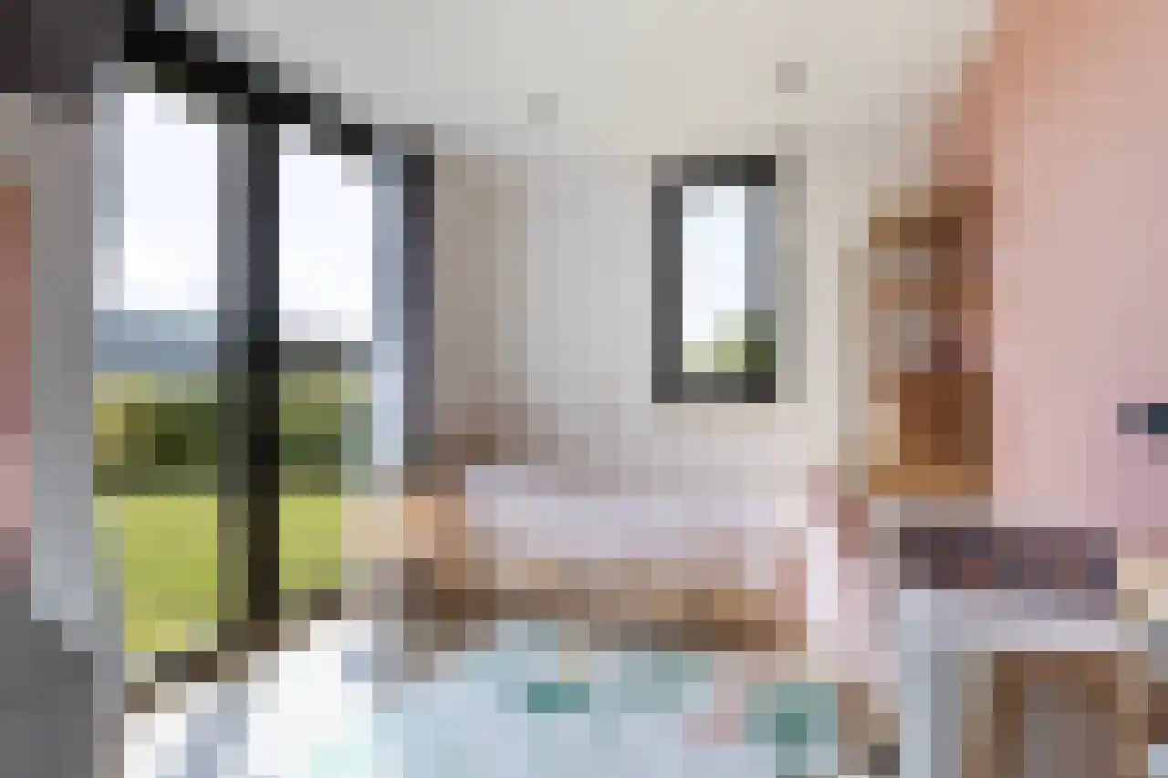 Zonnelaan 11 Almere thumbnail 20