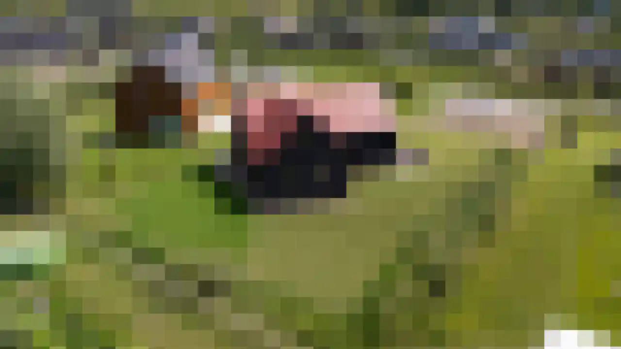Zonnelaan 11 Almere thumbnail 31