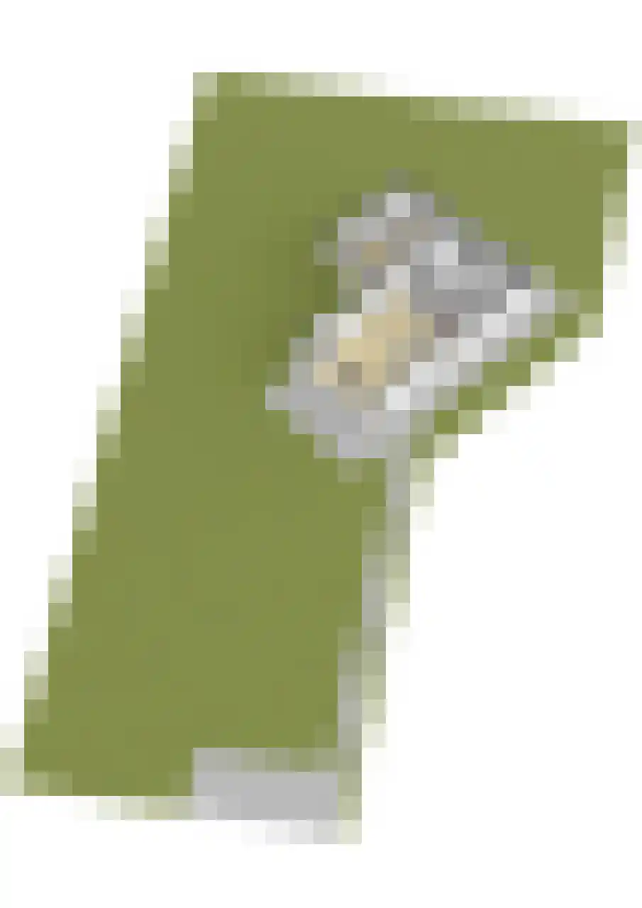 Zonnelaan 11 Almere thumbnail 36