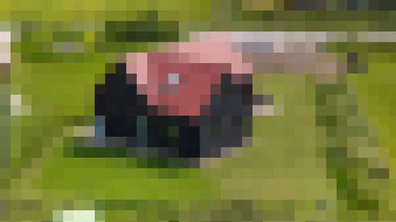 Zonnelaan 11 Almere thumbnail 4
