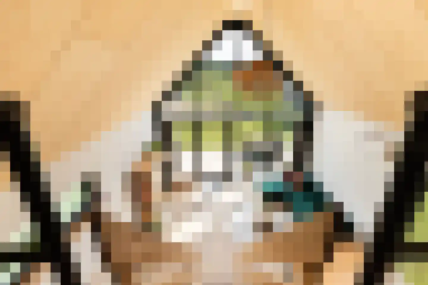 Zonnelaan 11 Almere thumbnail 4