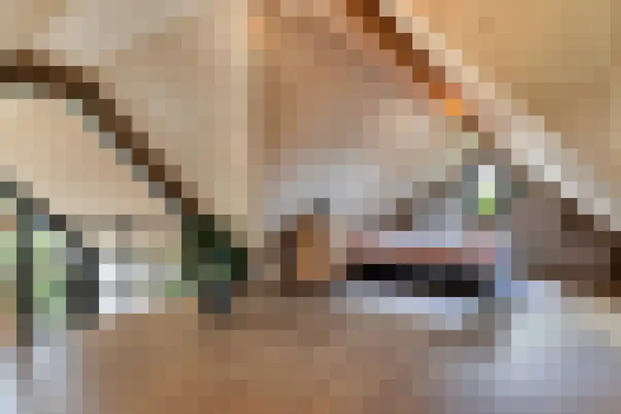 Zonnelaan 11 Almere thumbnail 7