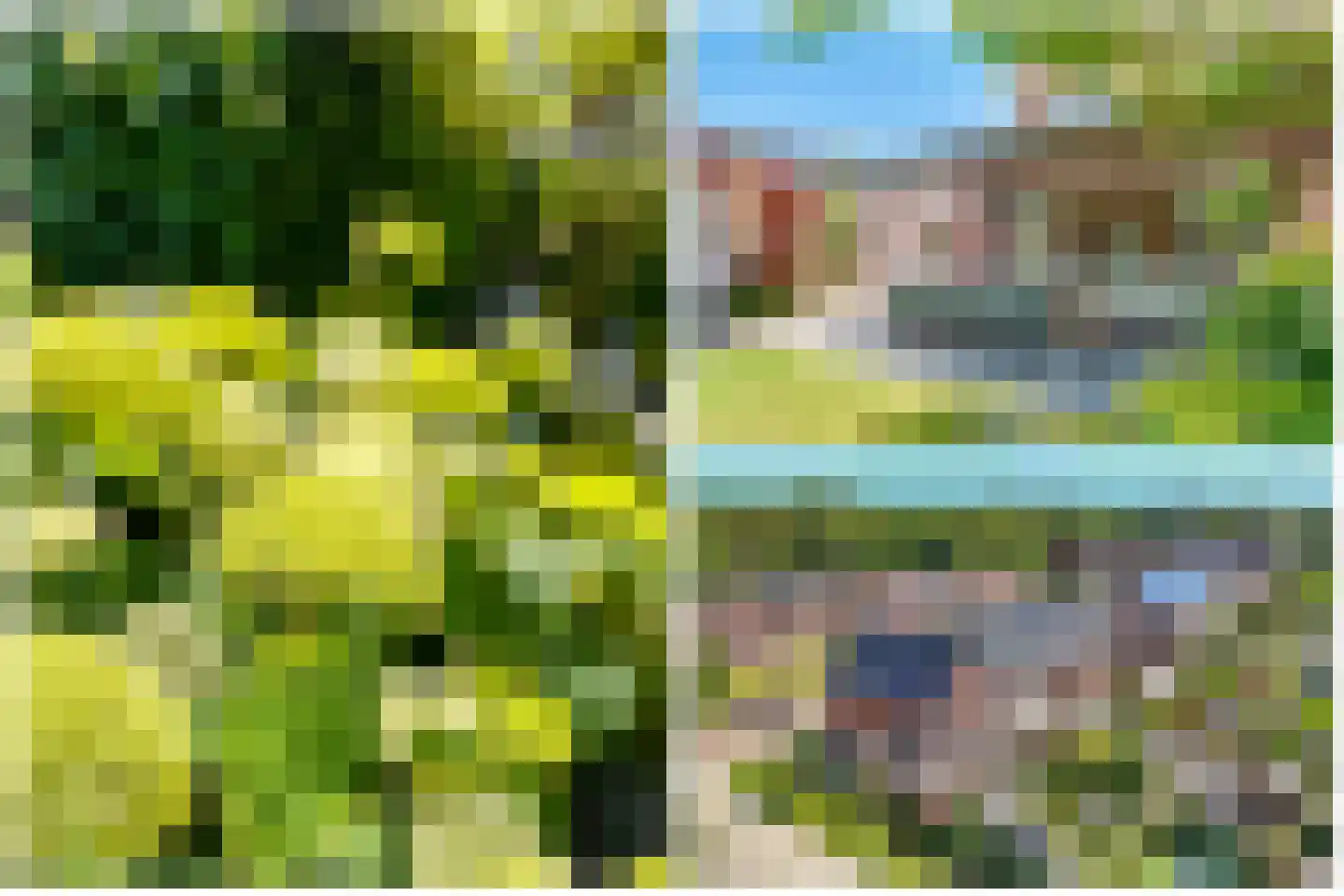 Zonnelaan 121 Huis ter Heide foto 2