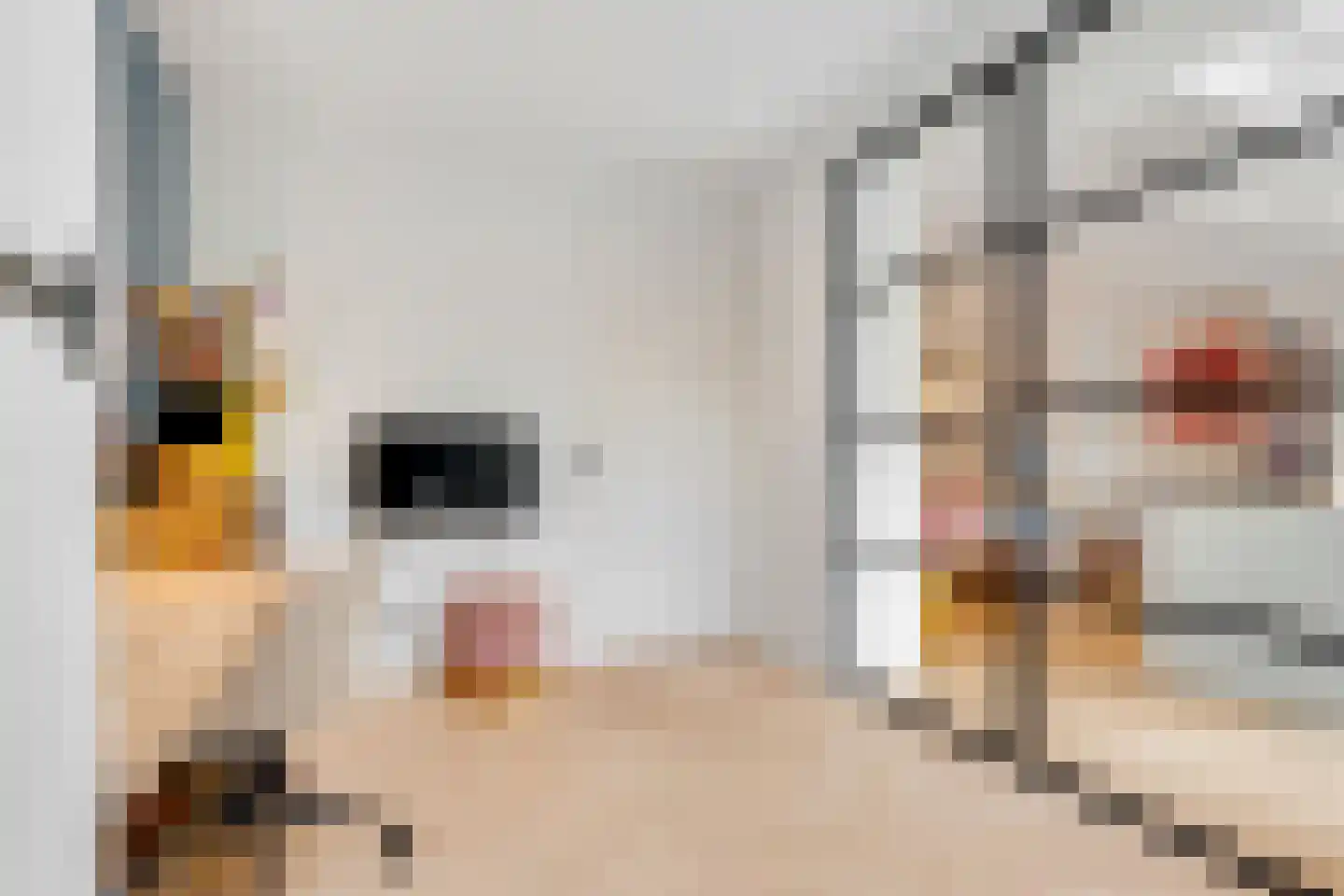 Zonnelaan 121 Huis ter Heide thumbnail 8