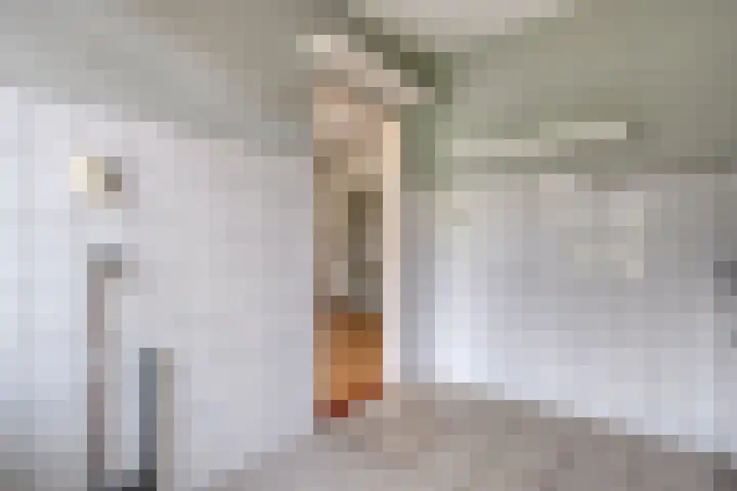 Zonnelaan 16 Hardenberg thumbnail 13
