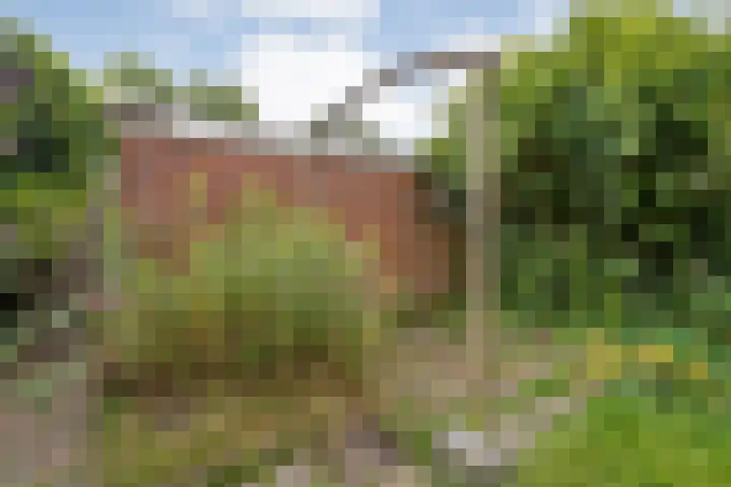 Zonnelaan 16 Hardenberg thumbnail 33