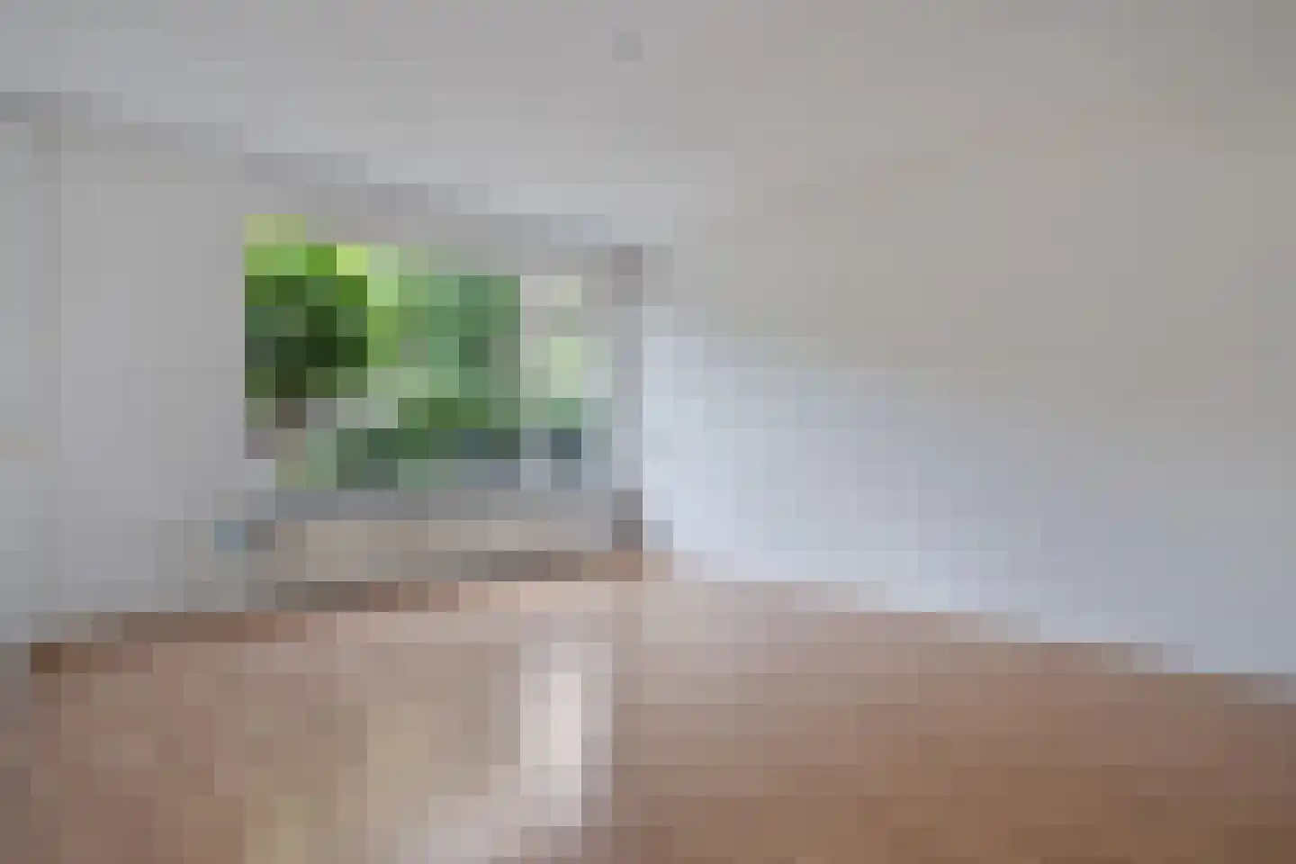 Zonnelaan 16 Hardenberg thumbnail 8