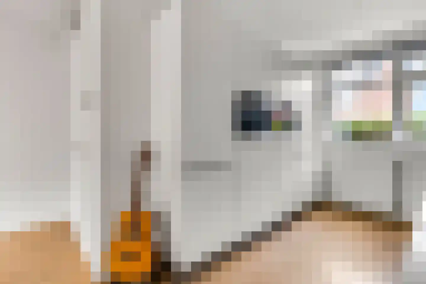 Zonnelaan 174 Huis ter Heide thumbnail 20