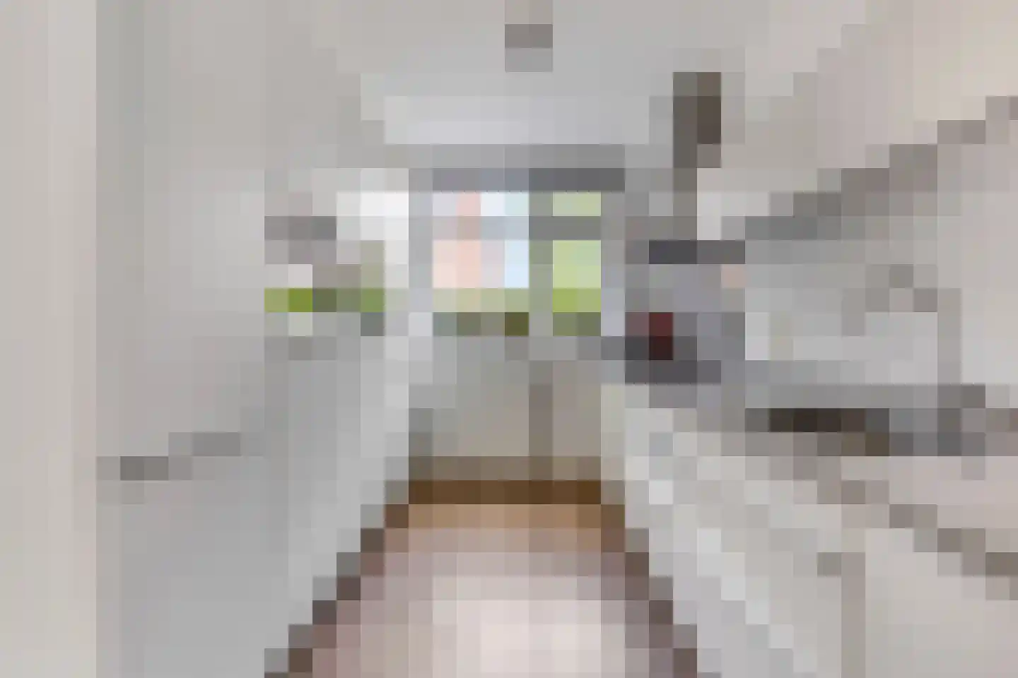 Zonnelaan 174 Huis ter Heide thumbnail 21