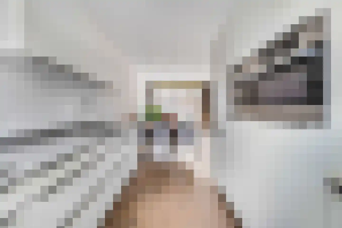 Zonnelaan 174 Huis ter Heide thumbnail 22