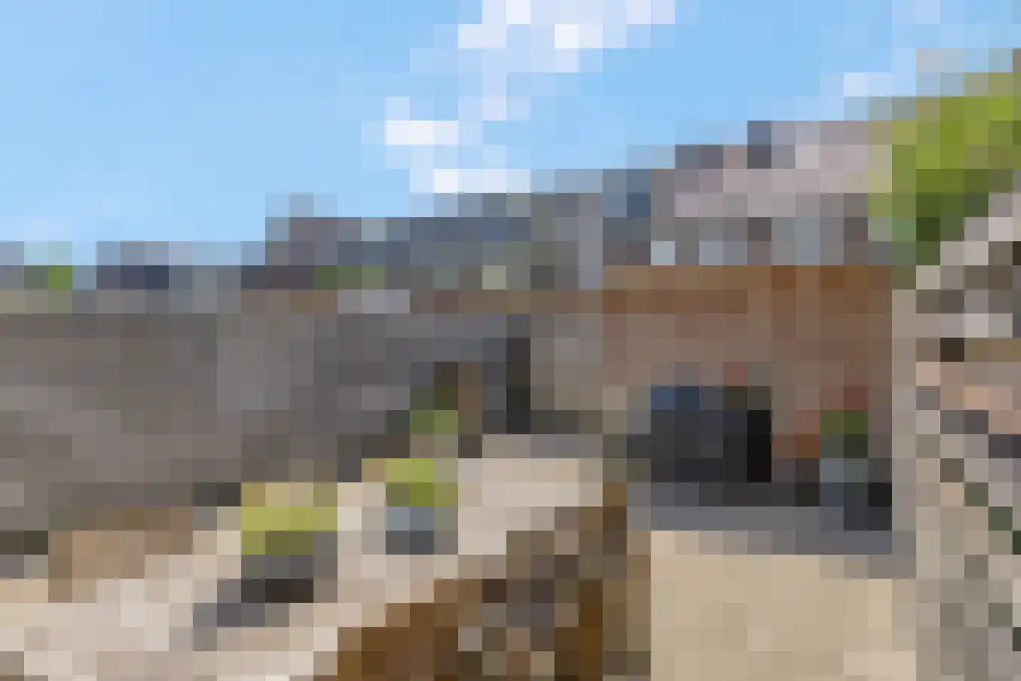 Zonnelaan 174 Huis ter Heide thumbnail 5