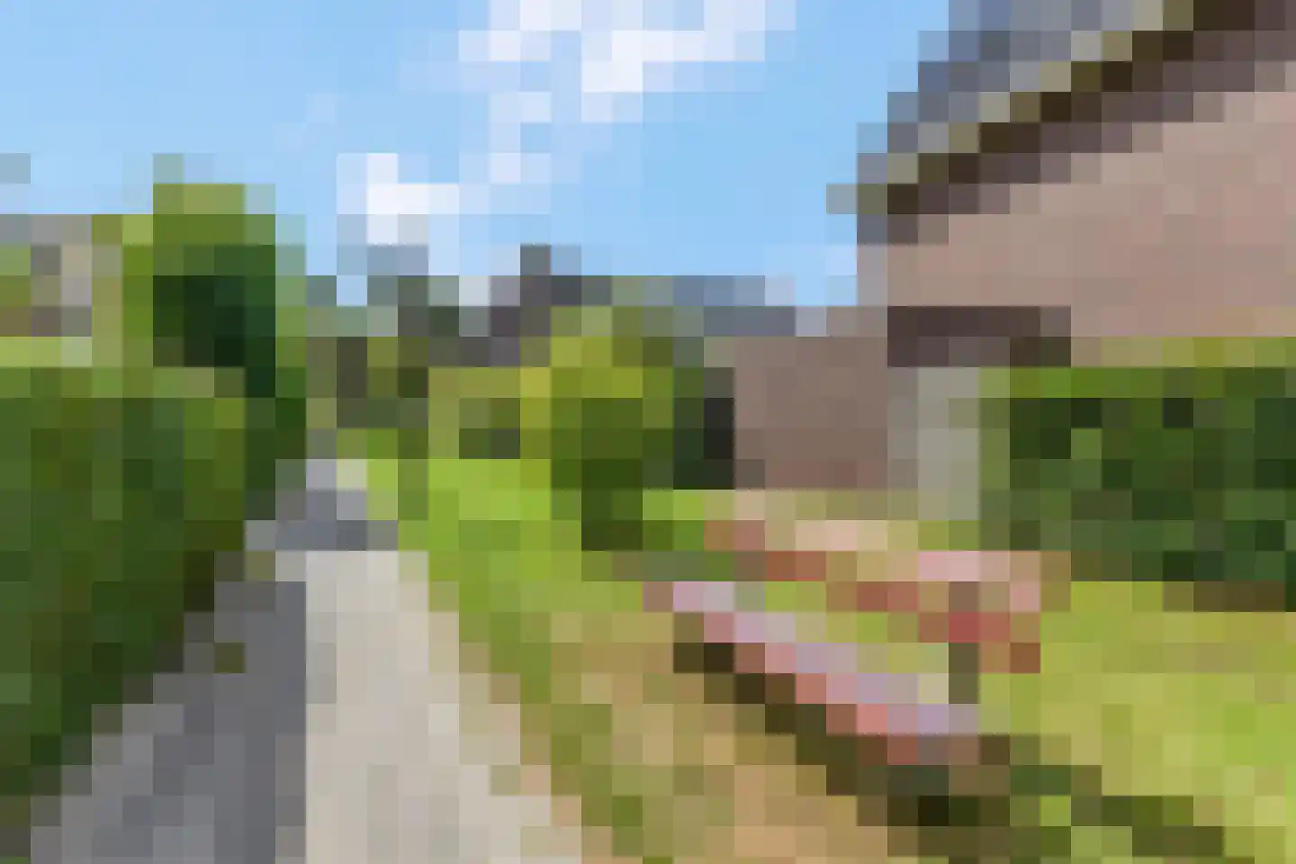 Zonnelaan 174 Huis ter Heide thumbnail 51