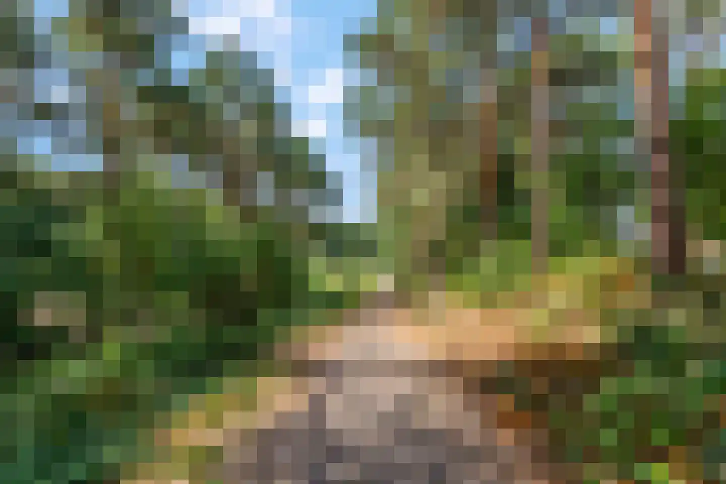 Zonnelaan 174 Huis ter Heide thumbnail 53