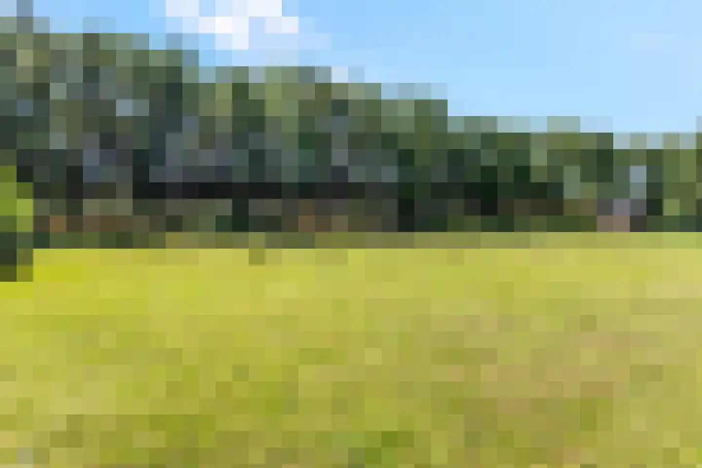Zonnelaan 174 Huis ter Heide thumbnail 54