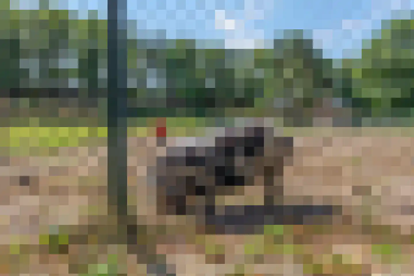 Zonnelaan 174 Huis ter Heide thumbnail 55