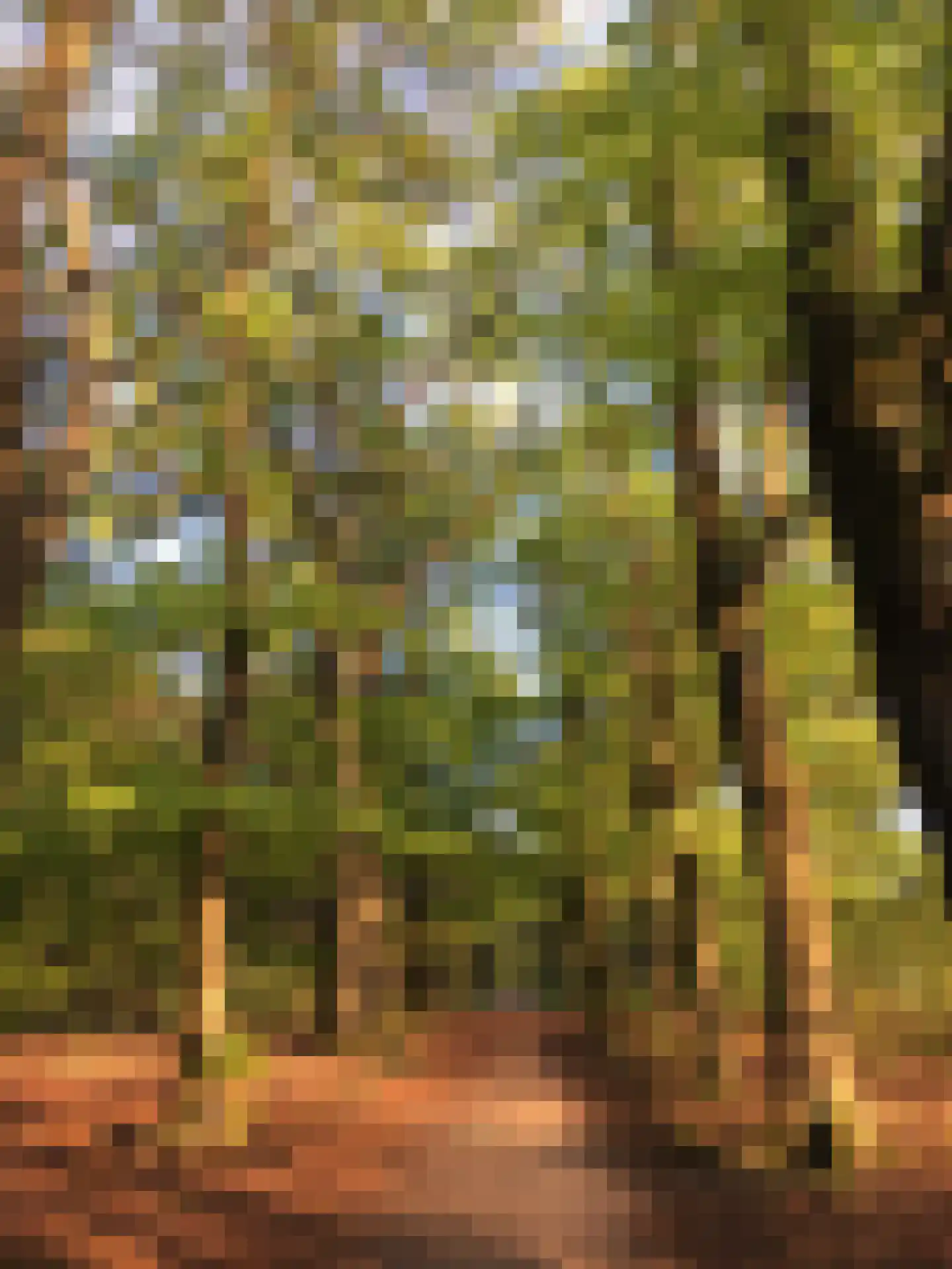 Zonnelaan 174 Huis ter Heide thumbnail 58