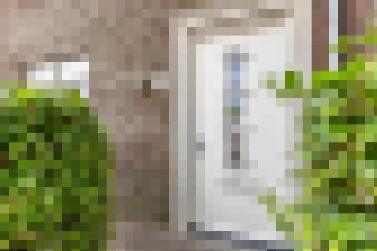 Zonnelaan 174 Huis ter Heide thumbnail 6