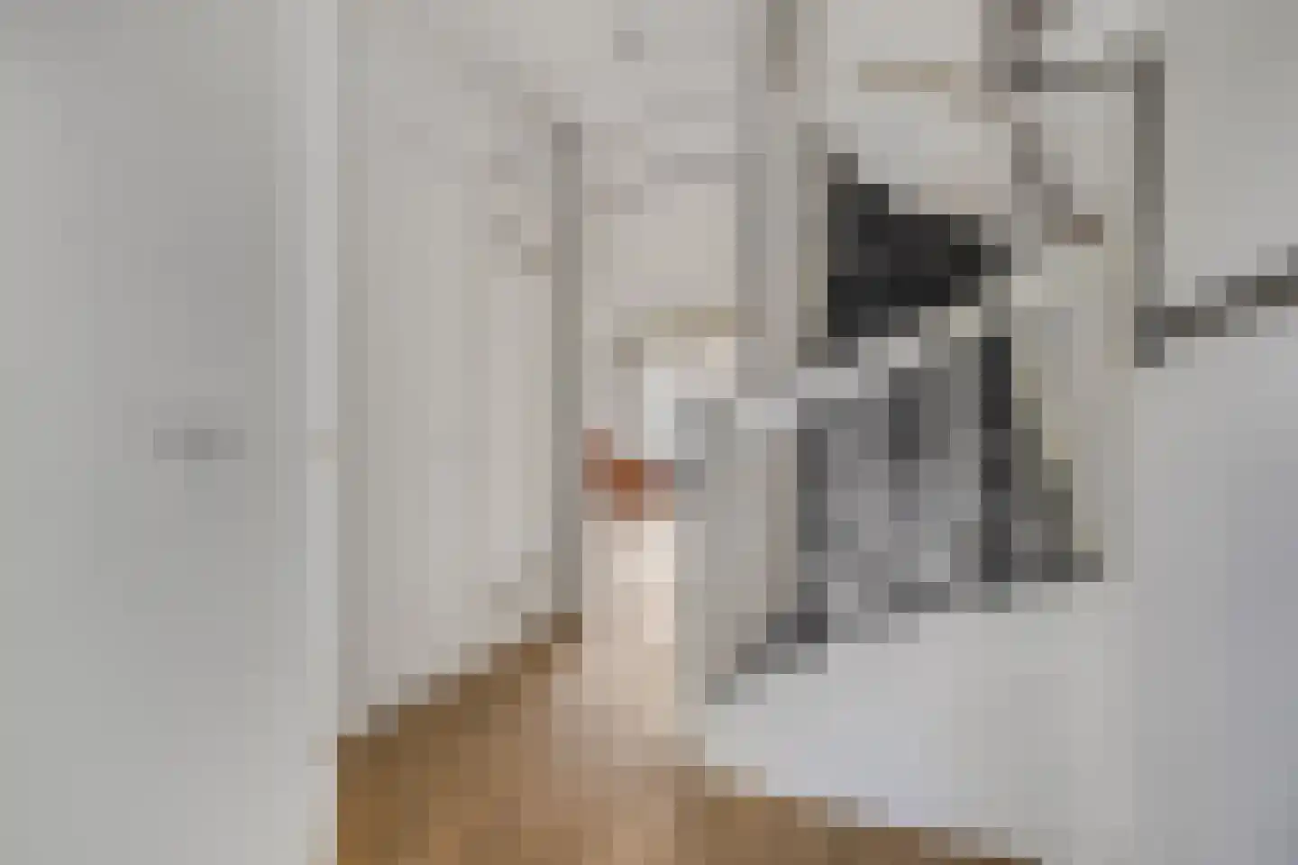 Zonnelaan 174 Huis ter Heide thumbnail 7