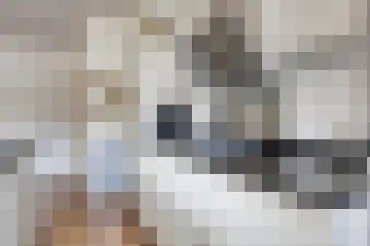 Zonnelaan 180 Huis ter Heide thumbnail 11