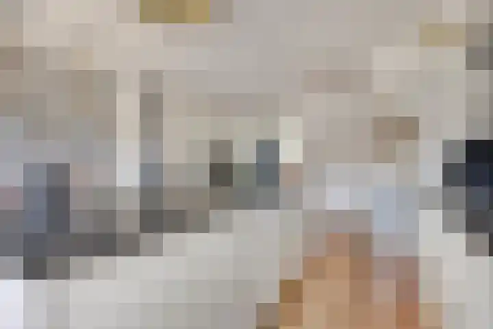Zonnelaan 180 Huis ter Heide thumbnail 12