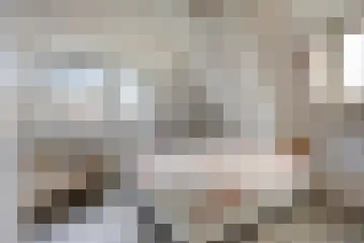 Zonnelaan 180 Huis ter Heide thumbnail 34