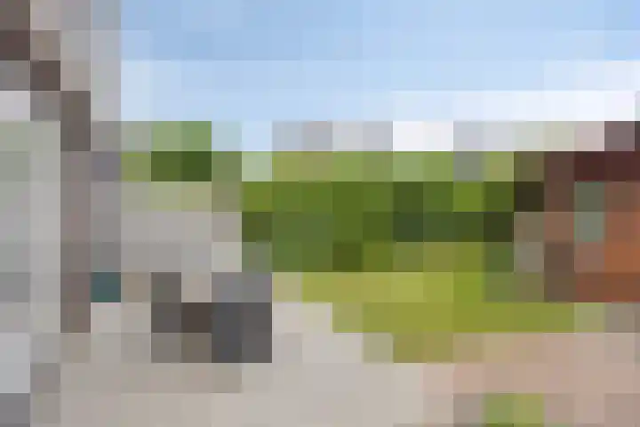 Zonnelaan 180 Huis ter Heide thumbnail 50