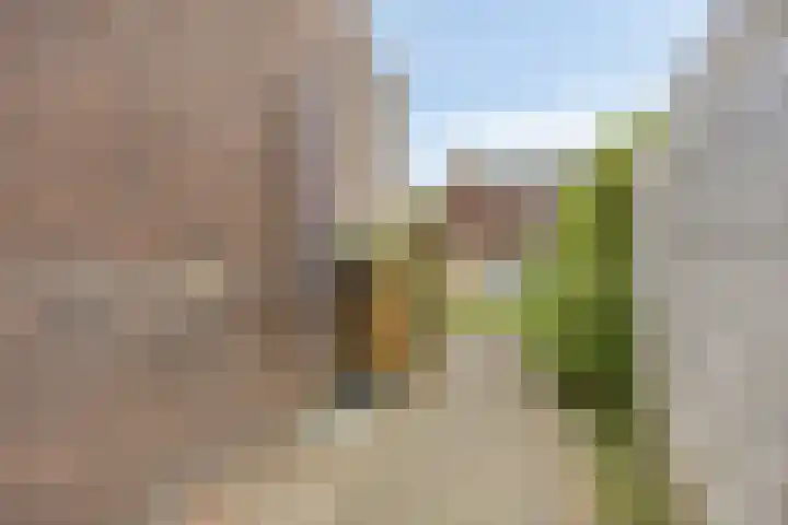 Zonnelaan 180 Huis ter Heide thumbnail 51