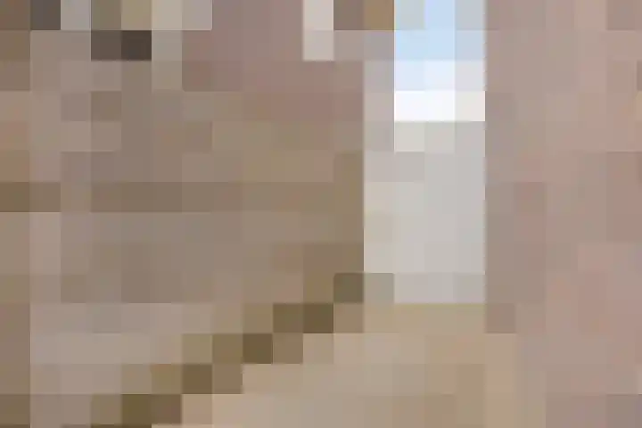 Zonnelaan 180 Huis ter Heide thumbnail 52