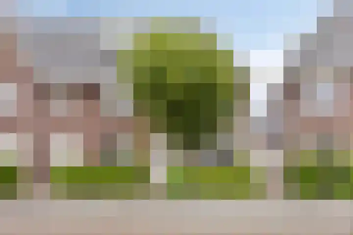 Zonnelaan 180 Huis ter Heide thumbnail 60