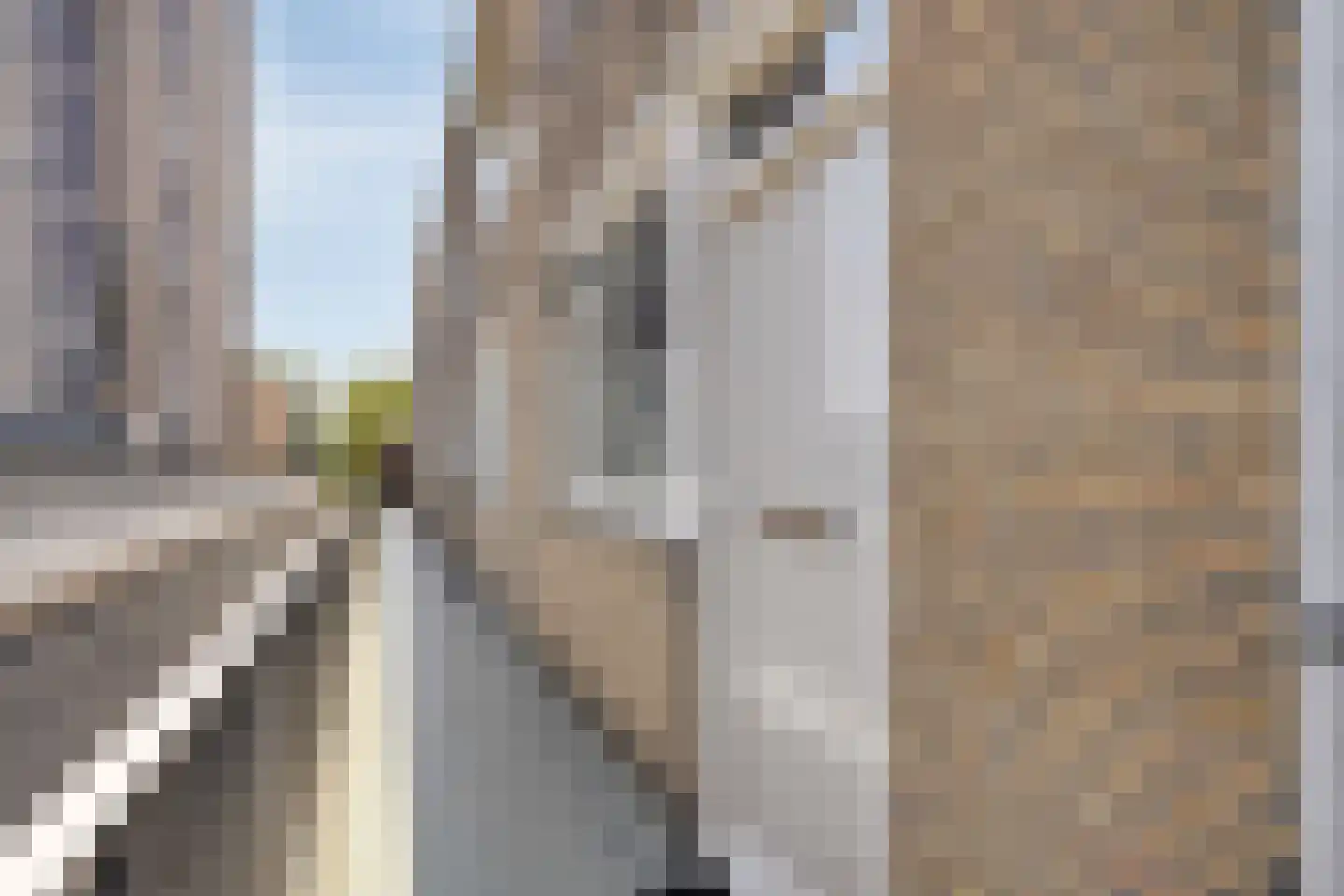 Zonnelaan 187 Groningen thumbnail 13