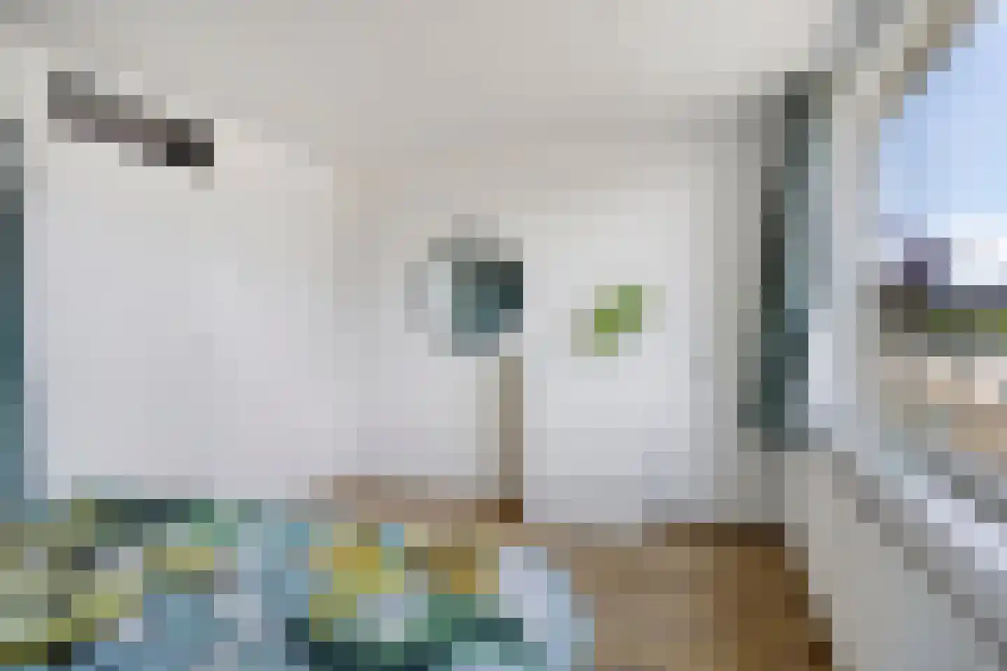Zonnelaan 187 Groningen thumbnail 35