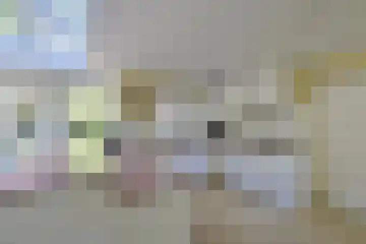 Zonnelaan 20 Hilversum thumbnail 10