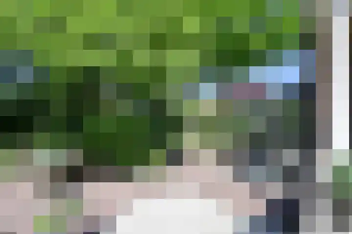 Zonnelaan 20 Hilversum thumbnail 13