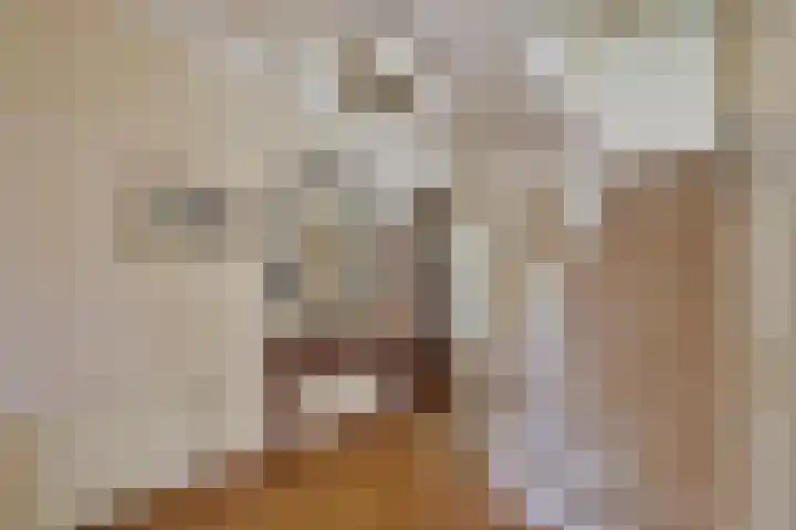Zonnelaan 20 Hilversum thumbnail 15