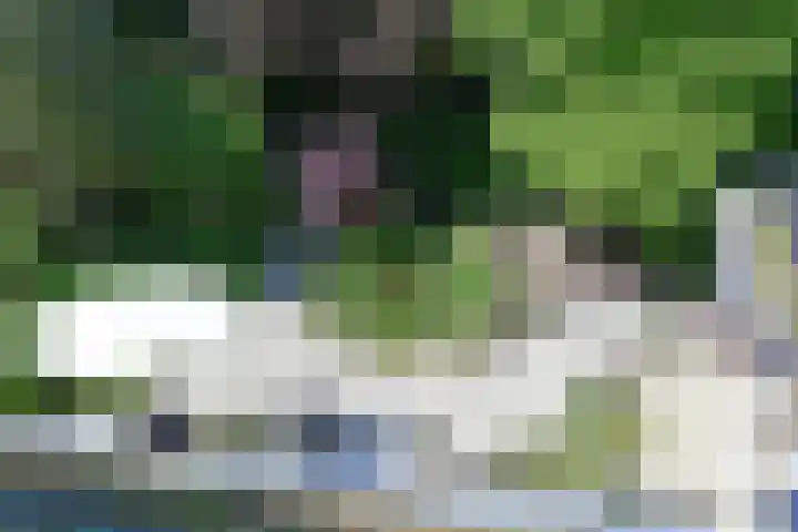 Zonnelaan 20 Hilversum thumbnail 18