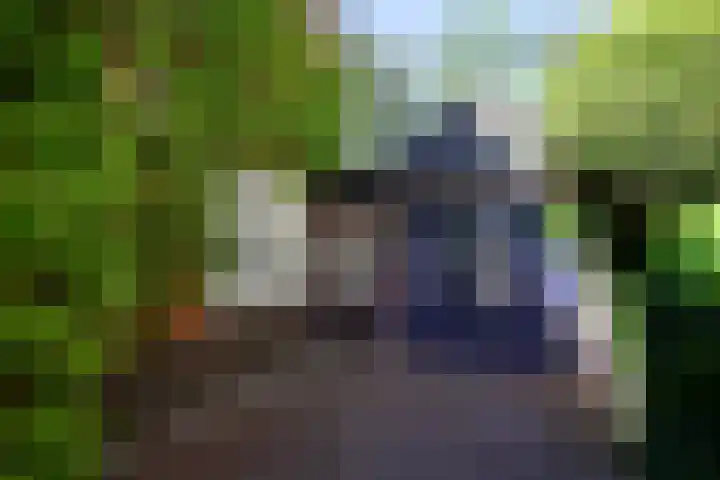Zonnelaan 20 Hilversum thumbnail 28