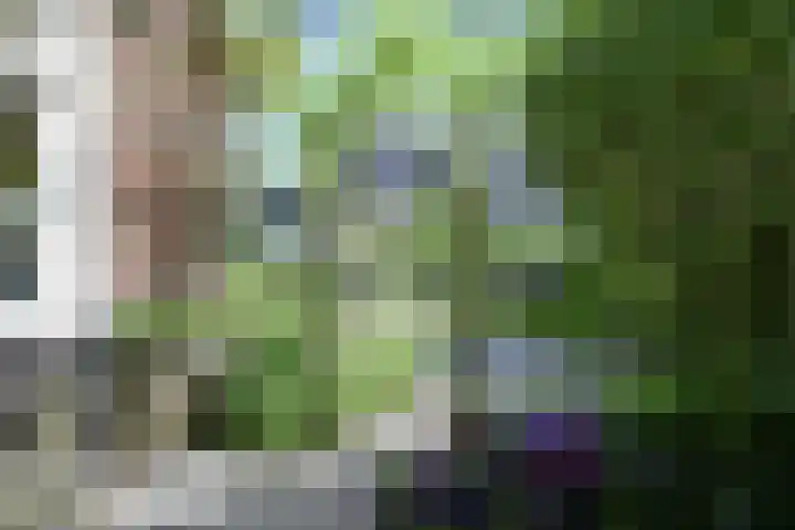 Zonnelaan 20 Hilversum thumbnail 32