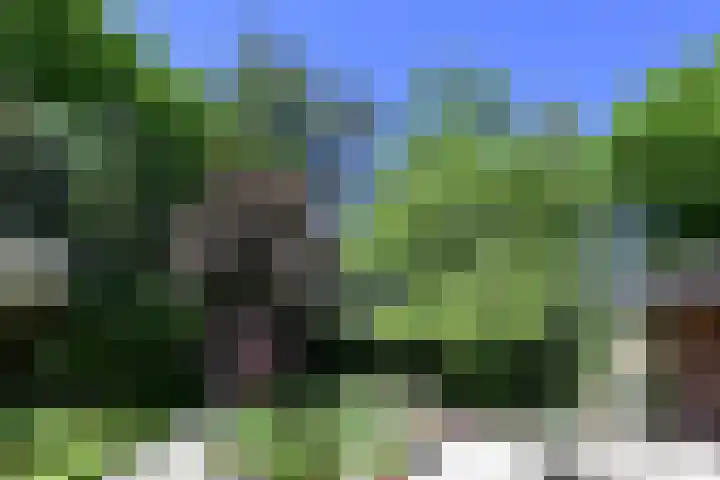 Zonnelaan 20 Hilversum thumbnail 34