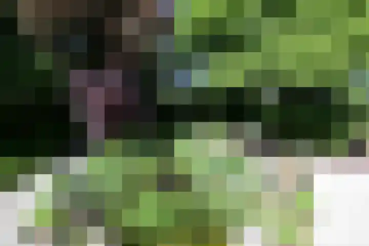 Zonnelaan 20 Hilversum thumbnail 35
