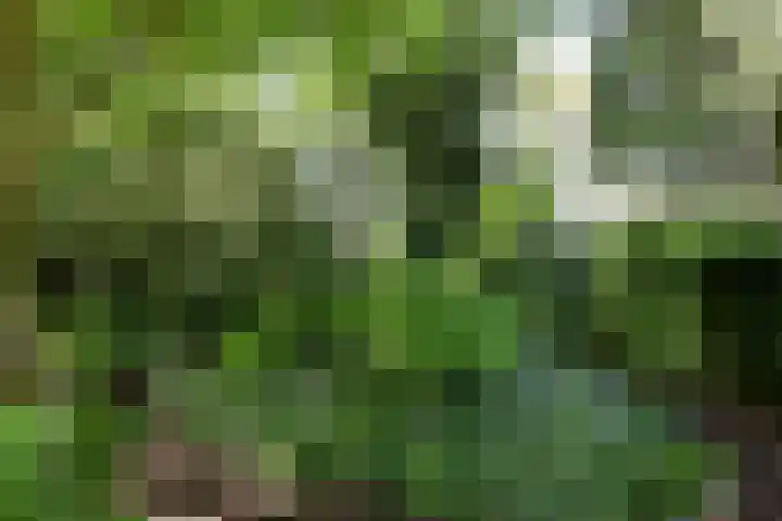 Zonnelaan 20 Hilversum thumbnail 36
