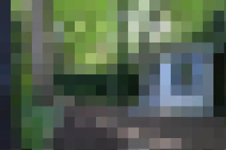Zonnelaan 20 Hilversum thumbnail 37