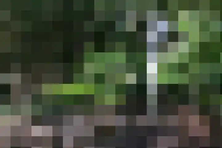 Zonnelaan 20 Hilversum thumbnail 38