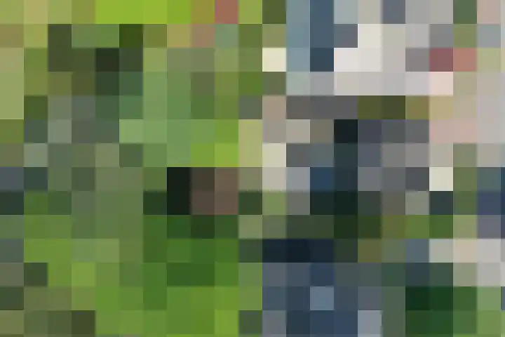 Zonnelaan 20 Hilversum thumbnail 39