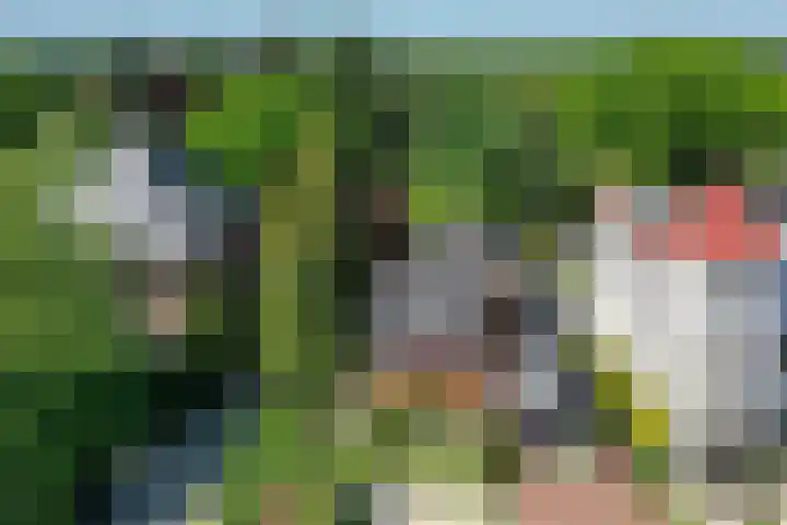 Zonnelaan 20 Hilversum thumbnail 40