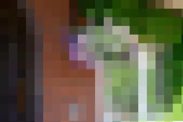 Zonnelaan 20 Hilversum thumbnail 43