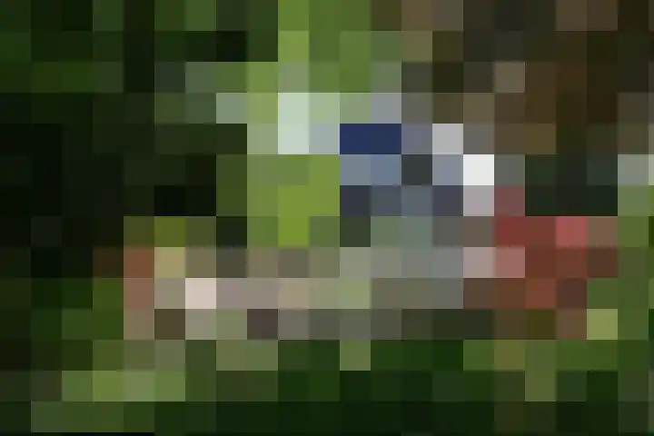 Zonnelaan 20 Hilversum thumbnail 49